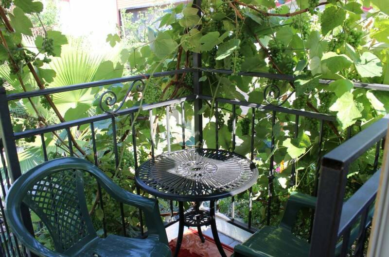 Изображение Изображение гостиницы "Гостевой дом «Колибри»" #7 #7