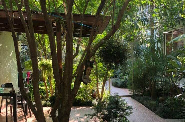 Изображение Изображение гостиницы "Гостевой дом «Колибри»" #8 #8