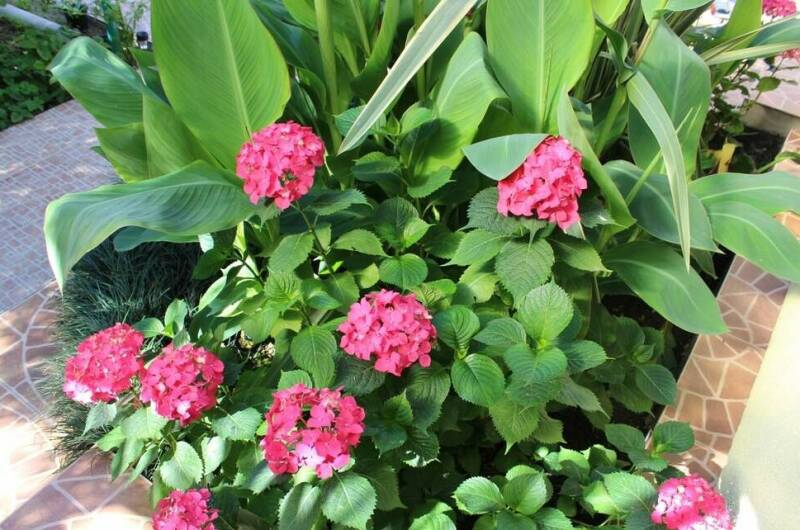 Изображение Изображение отеля / гостиницы "Гостевой дом «Колибри»" #11 #9