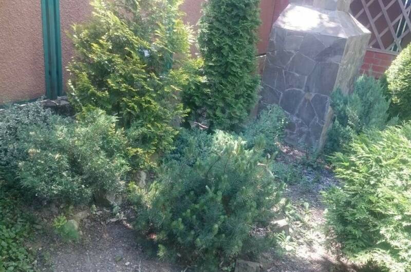 Изображение Изображение гостиницы &quot;Гостевой дом «Парус»&quot; #4 #4