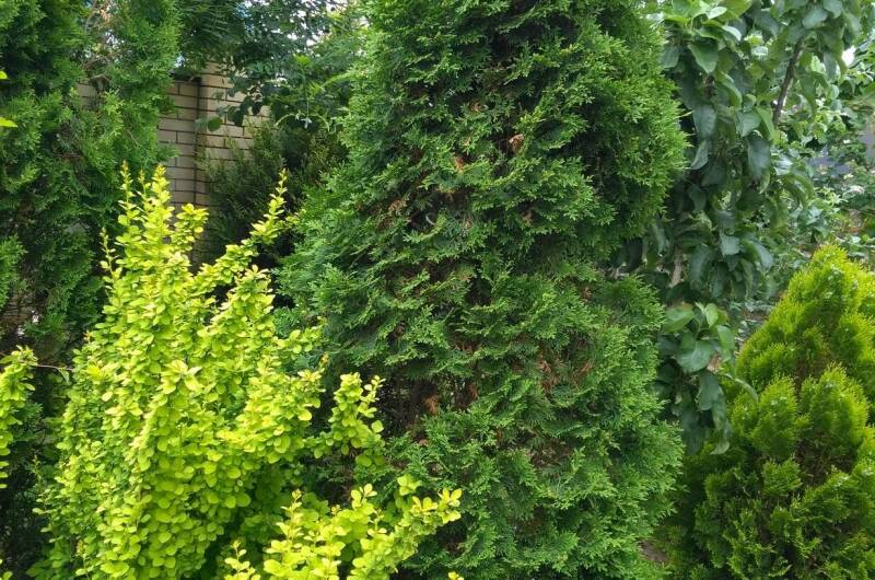 Изображение Изображение гостиницы "Гостевой дом «Рай»" #5 #5