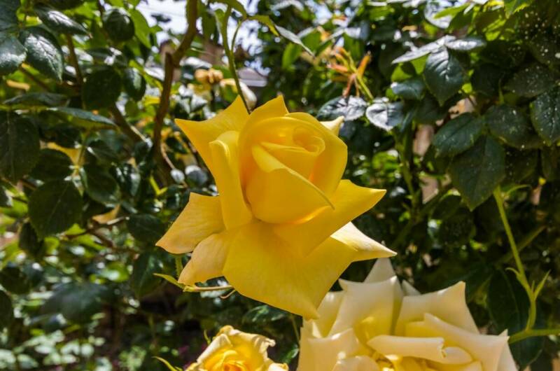 Изображение Изображение гостиницы "Гостевой дом «Голубая бухта»" #8 #8