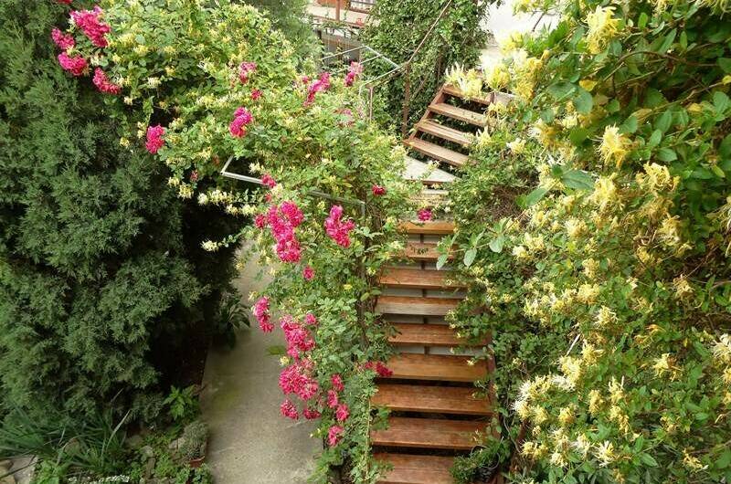 Изображение Изображение гостиницы &quot;Частный дом «Бегущая по волнам»&quot; #8 #8