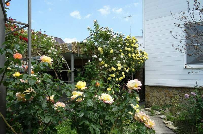 Изображение Изображение отеля / гостиницы "Частный дом «Бегущая по волнам»" #11 #9