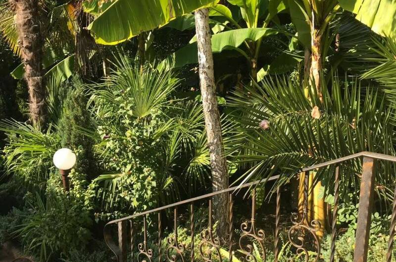 Изображение Изображение гостиницы "Гостевой дом «Зеленый дворик»" #2 #2