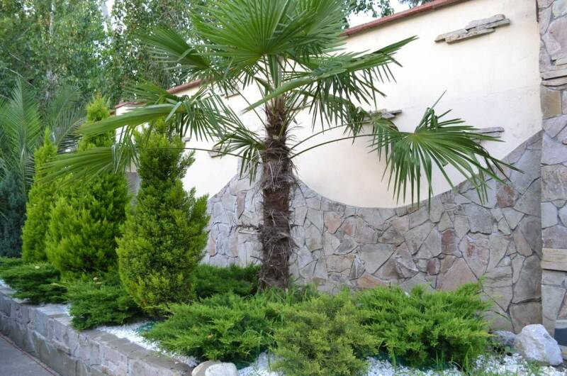 Изображение Изображение гостиницы "Гостевой дом «Зеленый дворик»" #6 #6