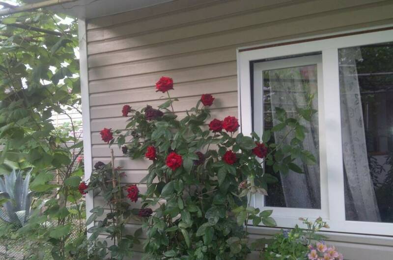 Изображение Изображение гостиницы "Частный дом «Леона»" #3 #3