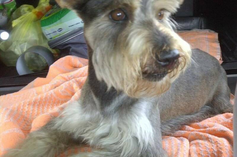 Изображение Изображение гостиницы "Частный дом «Леона»" #5 #5