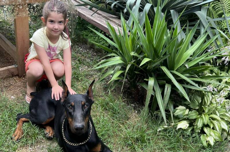 Изображение Изображение гостиницы "Частный дом «Леона»" #6 #6