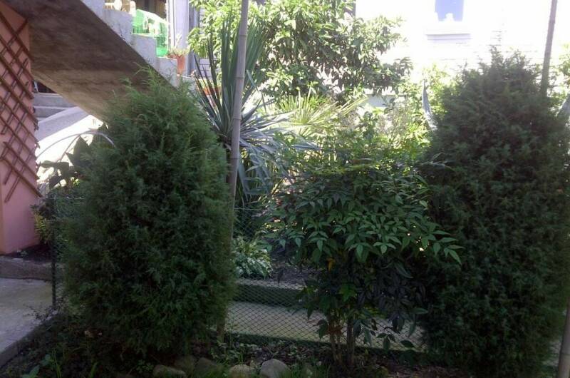 Изображение Изображение гостиницы "Частный дом «Леона»" #8 #8