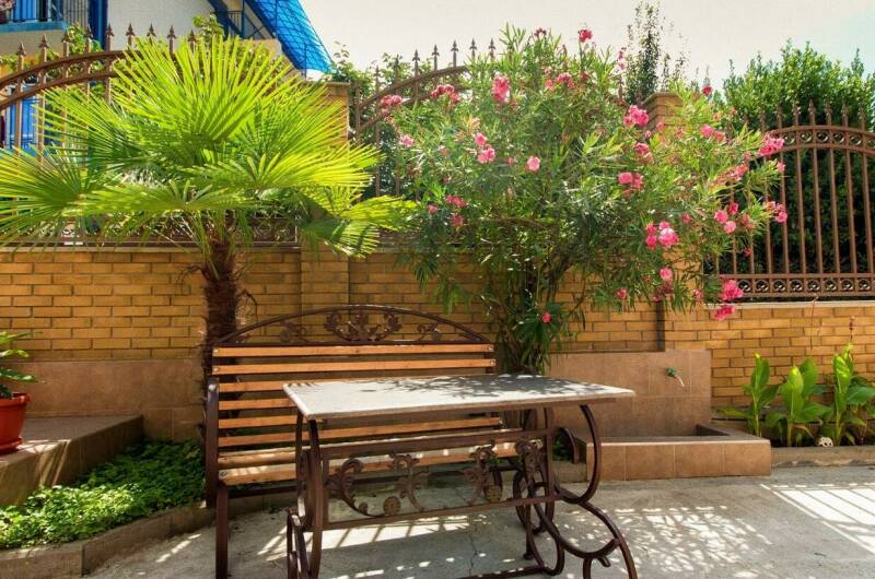 Изображение Изображение гостиницы "Гостевой дом «Асхо»" #6 #6