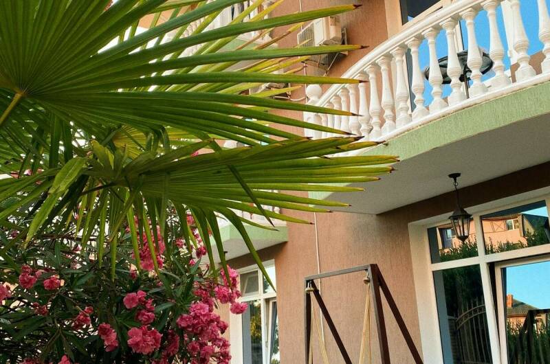 Изображение Изображение отеля / гостиницы "Гостевой дом «Асхо»" #10 #8