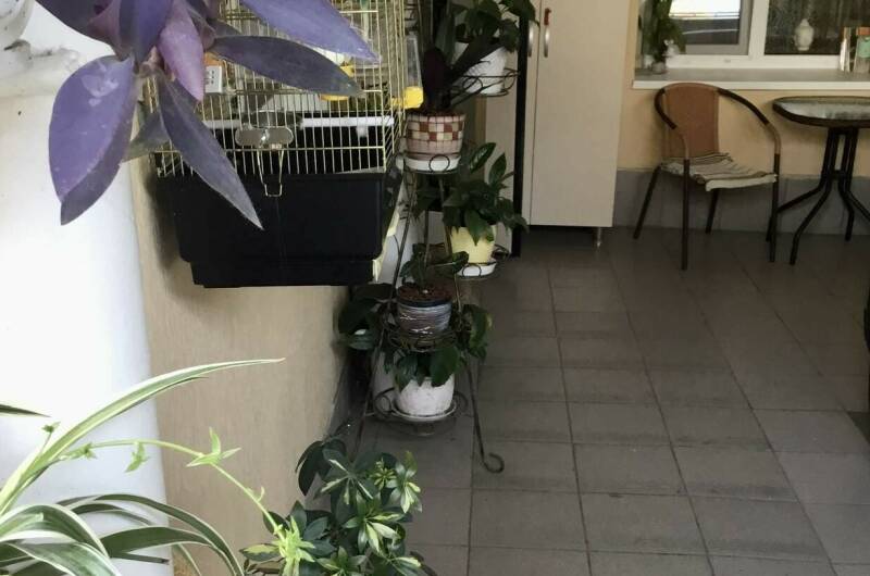 Изображение Изображение гостиницы "Гостевой дом «Лавр»" #5 #5