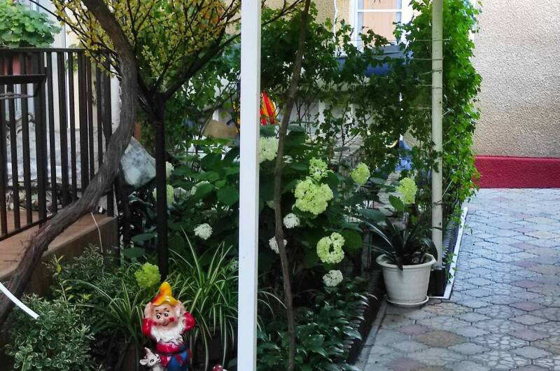 Изображение Изображение гостиницы "Гостевой дом «Адениум»" #8 #8