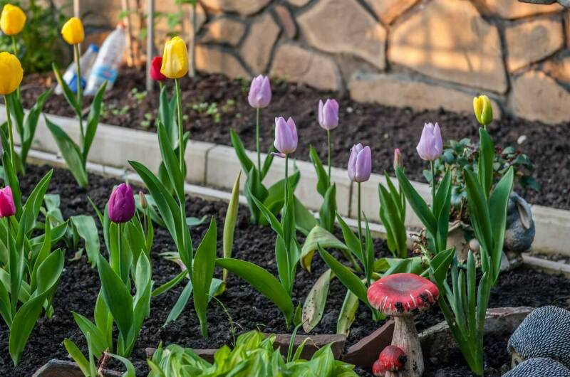 Изображение Изображение гостиницы "Гостевой дом «Атон»" #8 #8