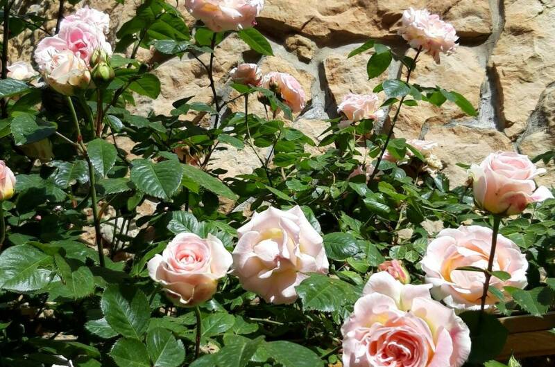 Изображение Изображение отеля / гостиницы "Частный дом «Короленко 37»" #10 #8