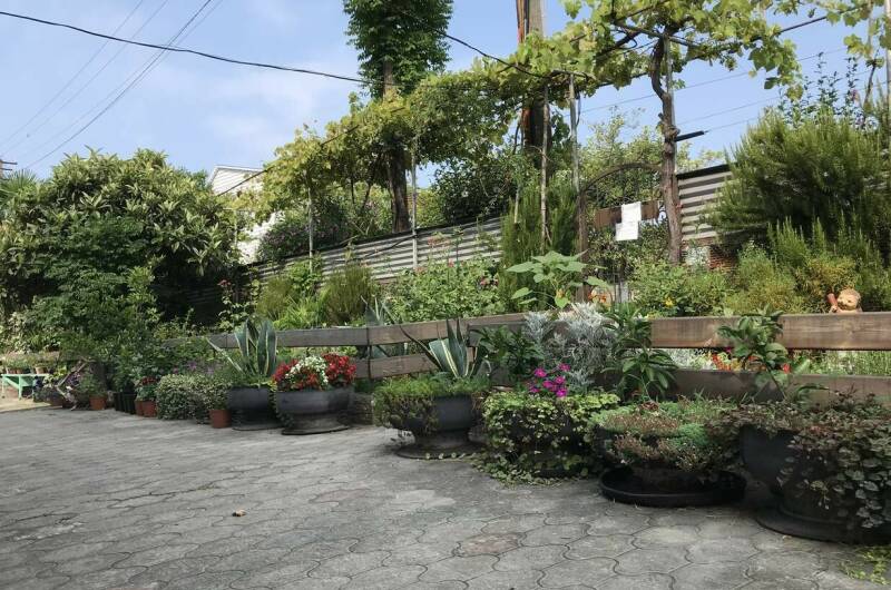 Изображение Изображение гостиницы "Гостевой дом «У Анны»" #1 #1