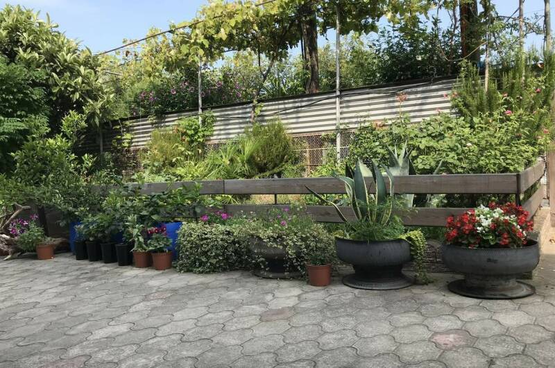 Изображение Изображение отеля / гостиницы "Гостевой дом «У Анны»" #11 #9