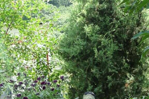 Изображение Изображение гостиницы "Частный сектор «Марина»" #6 #6