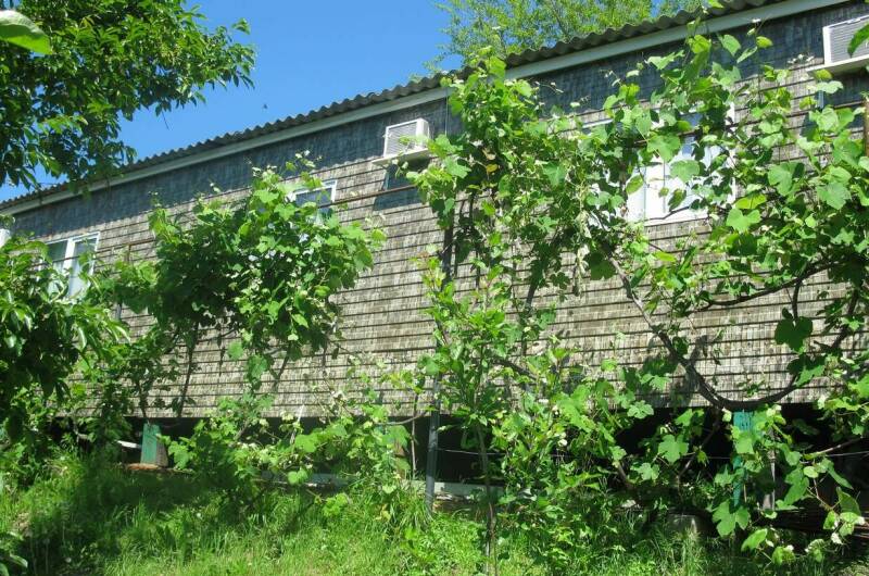 Изображение Изображение отеля / гостиницы "Частный сектор «Марина»" #11 #9