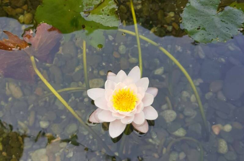 Изображение Изображение отеля / гостиницы "Гостевой дом «Маяк»" #11 #9