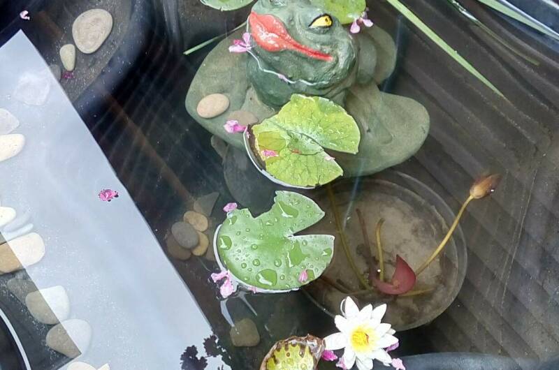 Изображение Изображение гостиницы "Гостевые комнаты «Фламинго»" #3 #3