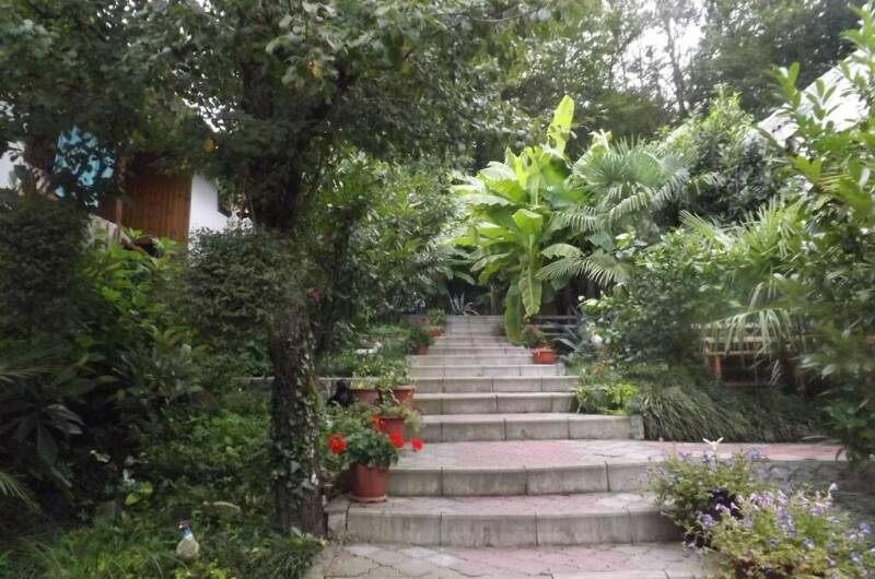 Изображение Изображение гостиницы &quot;Частная гостиница «Летняя»&quot; #2 #2