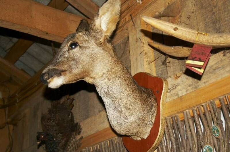 Изображение Изображение гостиницы &quot;Частная гостиница «Летняя»&quot; #8 #8