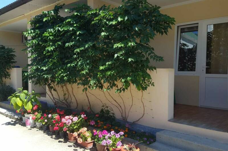 Изображение Изображение гостиницы "Гостевой дом «Карина»" #1 #1