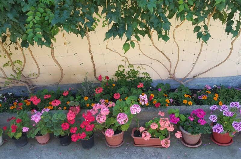 Изображение Изображение гостиницы "Гостевой дом «Карина»" #2 #2