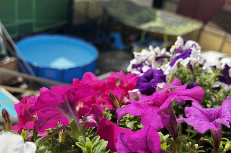 Изображение Изображение гостиницы "Гостевые комнаты «Антонида»" #3 #3