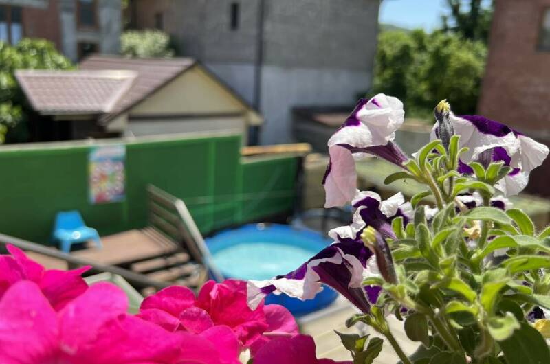 Изображение Изображение отеля / гостиницы "Гостевые комнаты «Антонида»" #11 #9