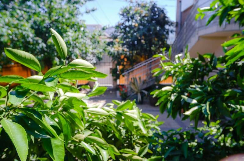 Изображение Изображение отеля / гостиницы "Частный дом «Аракс»" #10 #8