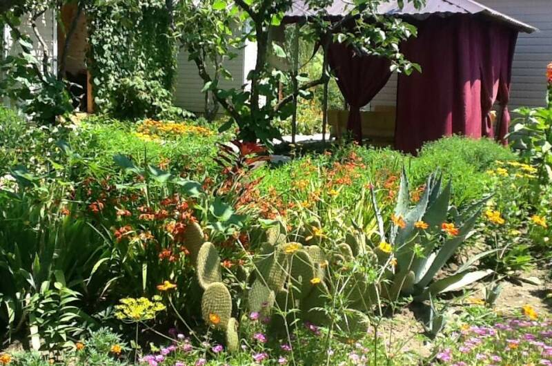 Изображение Изображение гостиницы "Гостевые домики «Лидия»" #2 #2