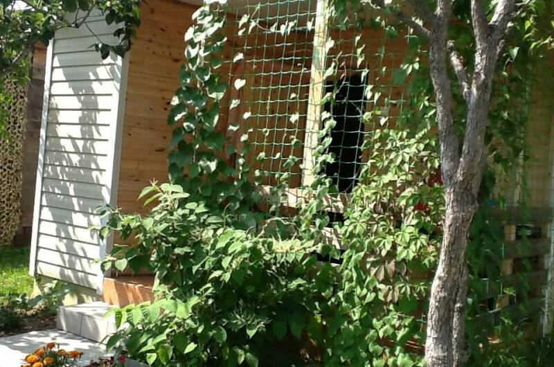 Изображение Изображение гостиницы "Гостевые домики «Лидия»" #5 #5