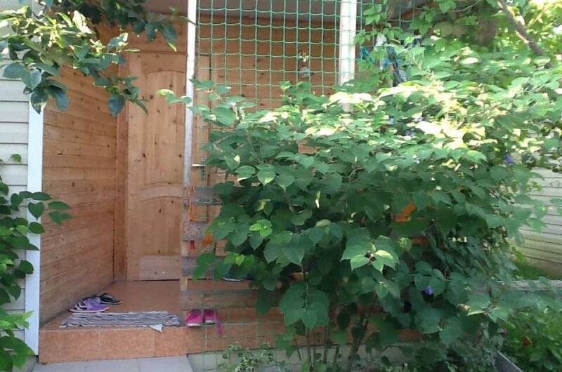 Изображение Изображение гостиницы "Гостевые домики «Лидия»" #6 #6