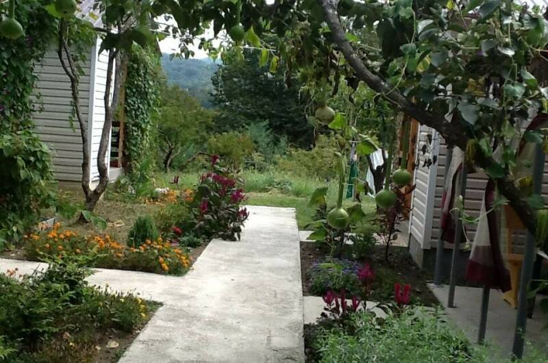 Изображение Изображение гостиницы "Гостевые домики «Лидия»" #7 #7