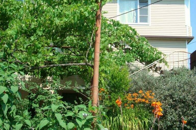 Изображение Изображение гостиницы "Гостевые домики «Лидия»" #8 #8