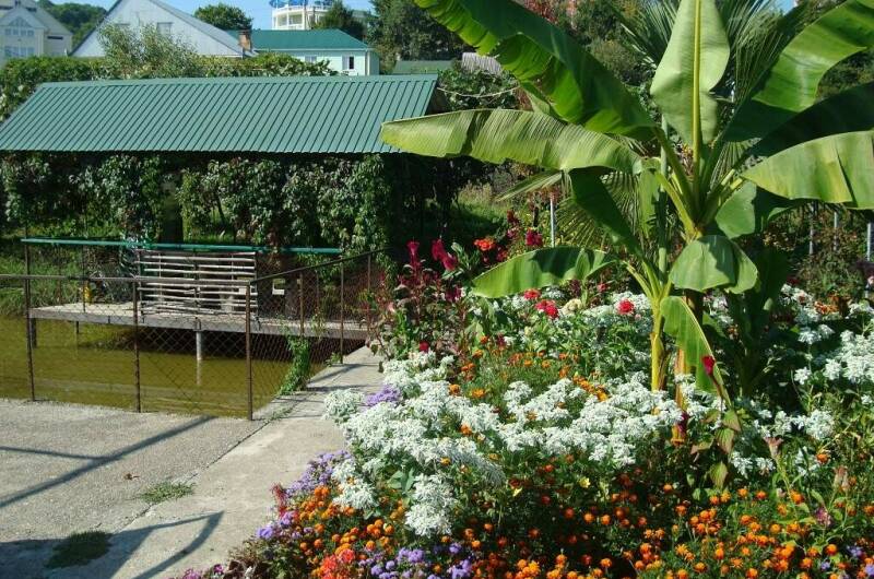 Изображение Изображение отеля / гостиницы "Гостевые домики «Лидия»" #11 #9