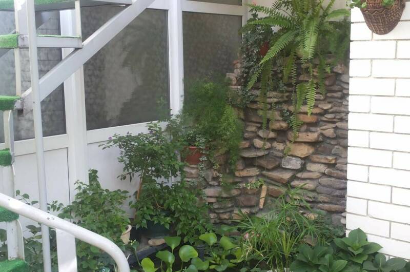 Изображение Изображение гостиницы "Уютный дворик на Толстого" #5 #5