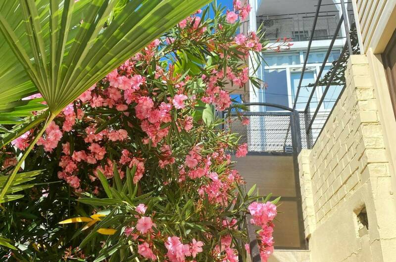 Изображение Изображение гостиницы &quot;Гостевой дом «Эльмар»&quot; #7 #7