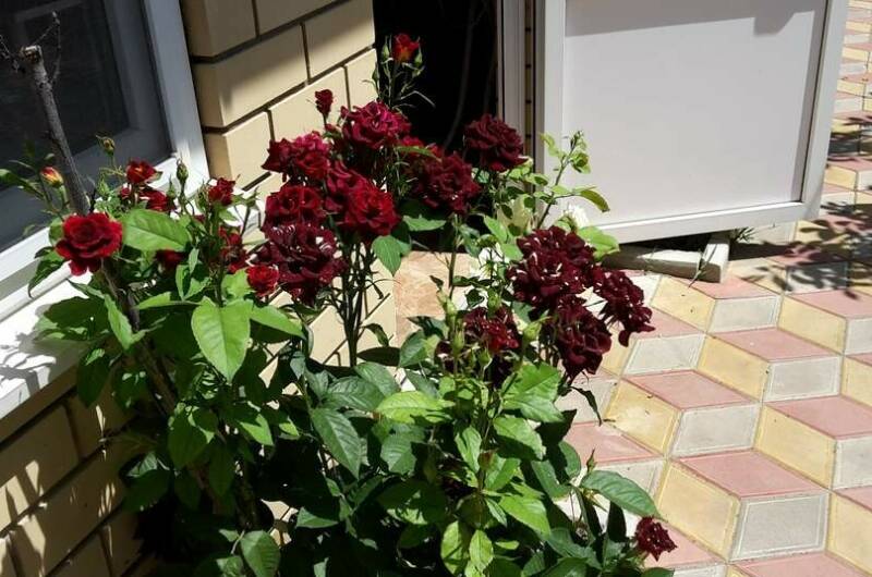 Изображение Изображение гостиницы &quot;Гостевой дом «Наташа»&quot; #2 #2