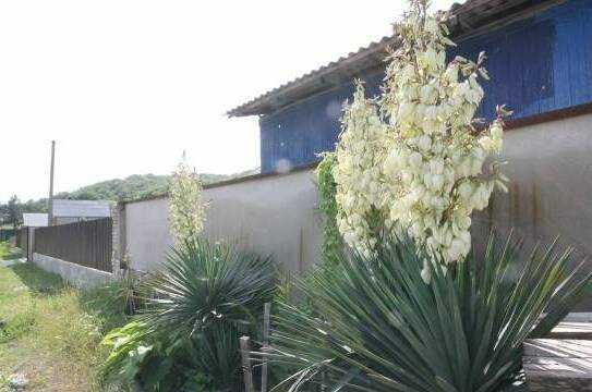 Изображение Изображение гостиницы &quot;Гостевой дом «Соня»&quot; #4 #4