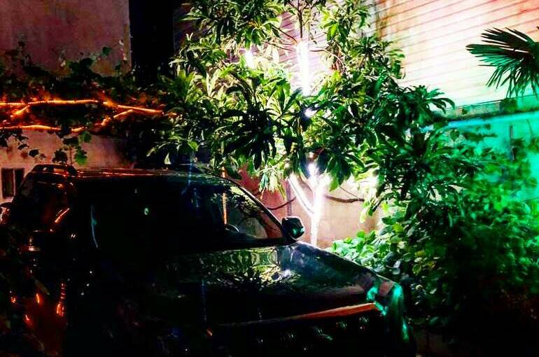 Изображение Изображение гостиницы &quot;Гостевой дом «Вероника»&quot; #3 #3