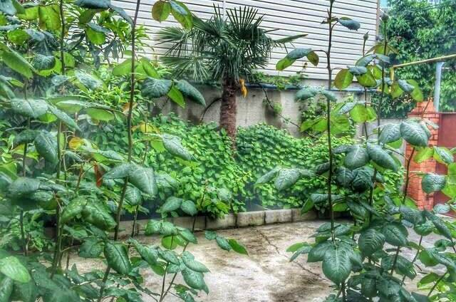 Изображение Изображение гостиницы &quot;Гостевой дом «Вероника»&quot; #5 #5