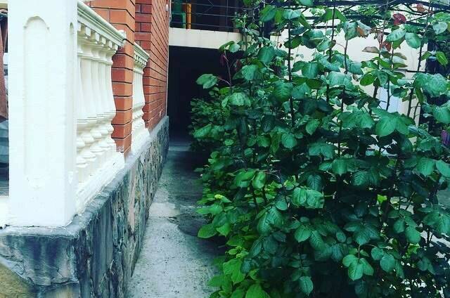 Изображение Изображение гостиницы &quot;Гостевой дом «Вероника»&quot; #6 #6