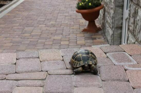 Изображение Изображение гостиницы &quot;Гостевой дом «Не горюй»&quot; #8 #8