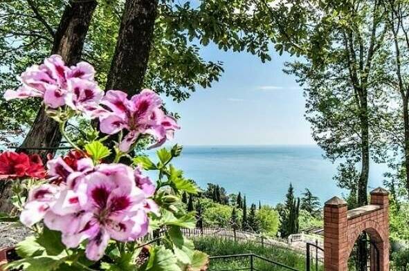 Изображение Изображение гостиницы "Гостевой дом «Милар»" #1 #1