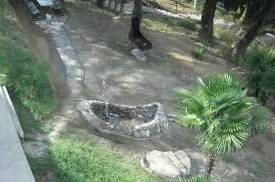 Изображение Изображение гостиницы "Гостевой дом «Милар»" #7 #7