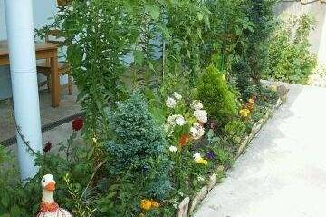 Изображение Изображение гостиницы &quot;Гостевой дом «У Андрея»&quot; #6 #6